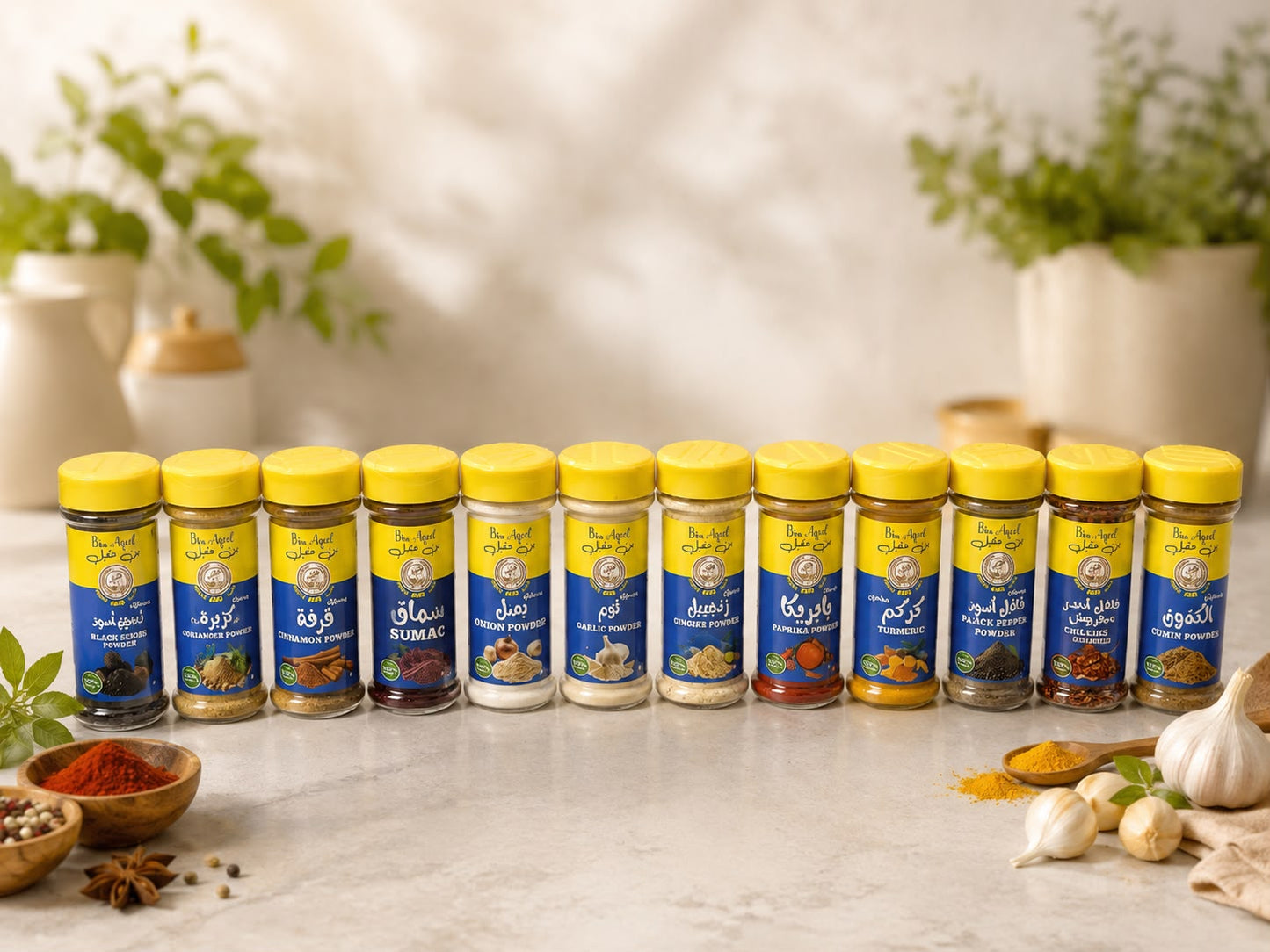 Premium Single Spices & Herbs Collection (12 Jars) - Bin Aqeel